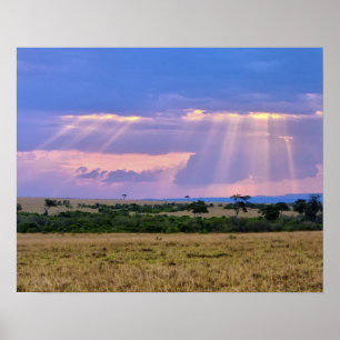 Poster Coucher de soleil sur le Masai Mara.