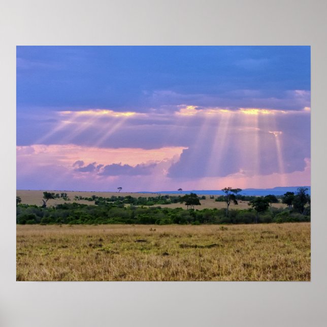 Poster Coucher de soleil sur le Masai Mara. (Devant)