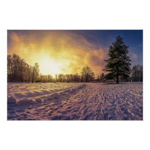 Poster Coucher de soleil sur le parc d'hiver enneigé
