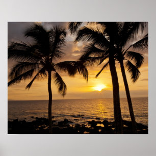 Poster Coucher de soleil sur palmier