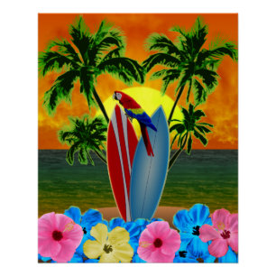 Poster Coucher de soleil tropical