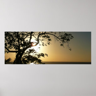 Poster Coucher du soleil à travers les arbres II Photogra