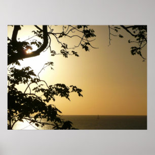Poster Coucher du soleil à travers les arbres II Photogra