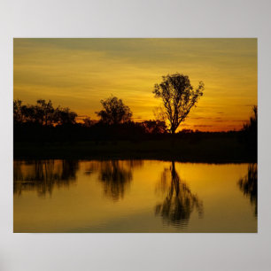 Poster Coucher du soleil, Billabong d'eau jaune