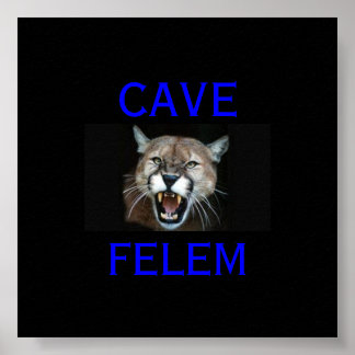 Poster COUGAR Attention Au Chat - En Latin.. -