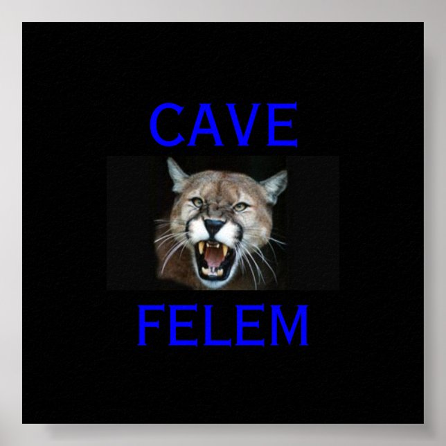 Poster COUGAR Attention Au Chat - En Latin.. - (Devant)