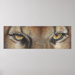 Poster Cougar Eyes #2