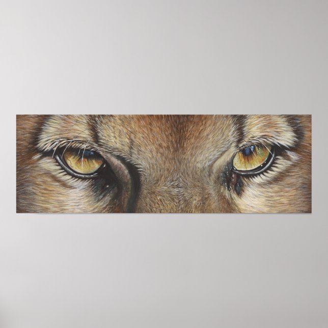 Poster Cougar Eyes #2 (Devant)