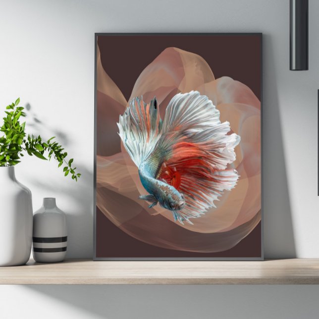Poster couleur betta (Créateur téléchargé)