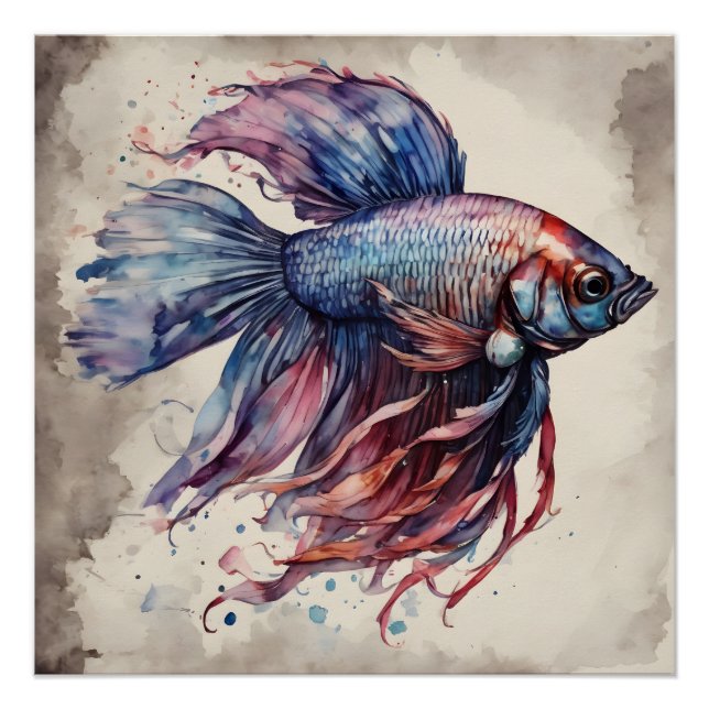 Poster couleur Betta Fish no 1 Glossy Poster (Devant)