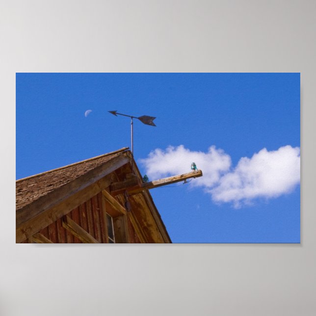 Poster couleur de la girouette et de la lune (Devant)