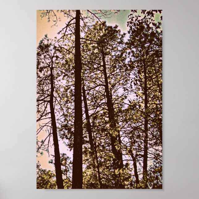 Poster couleur par les arbres (Devant)