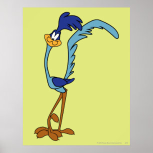 Poster Couleur ROAD RUNNER™