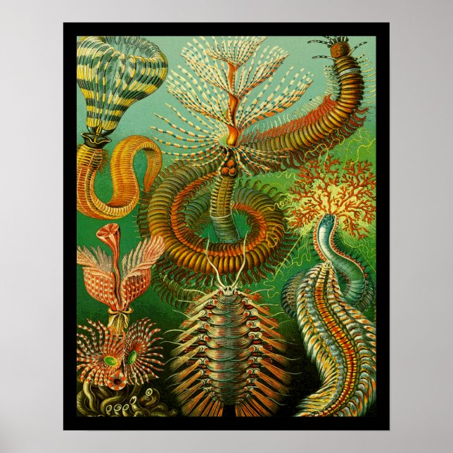 Poster Couleur sous-marine (Devant)