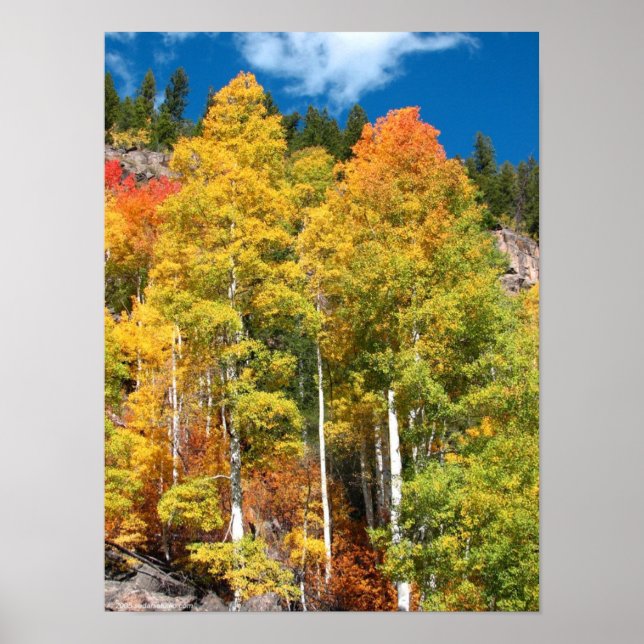 Poster Couleurs d'automne (Devant)