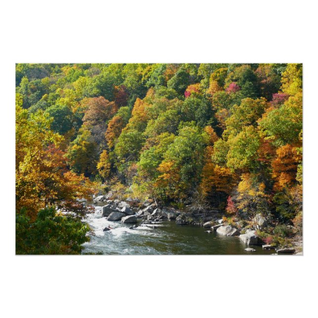 Poster Couleurs d'automne au parc d'État d'Ohiopyle (Devant)