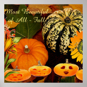 Poster Couleurs d'automne Citrouille Jack O Lanterns