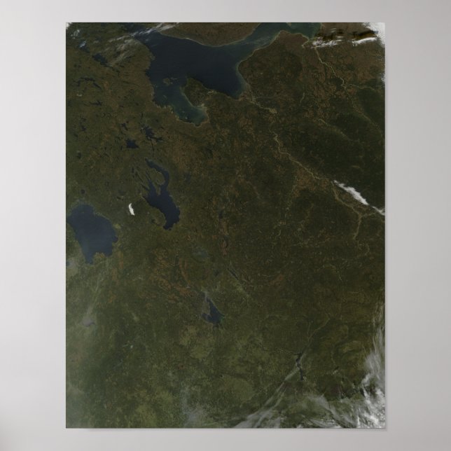 Poster Couleurs d'automne dans le nord-ouest de la Russie (Devant)