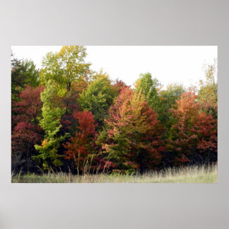 Poster Couleurs d'automne de Cleveland (Park)