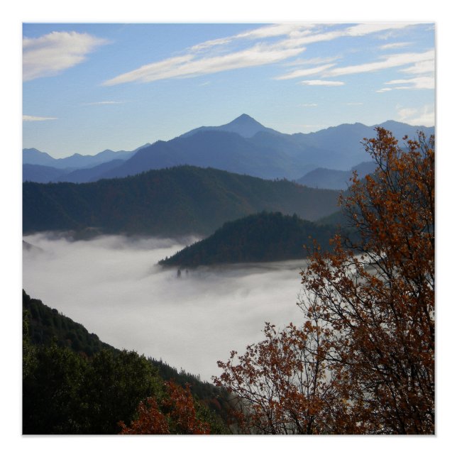 Poster Couleurs de l'automne avec du brouillard matinal.. (Devant)