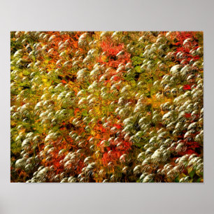 Poster Couleurs Et Bulles Abstraites