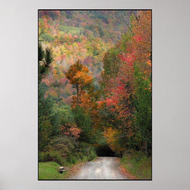 Poster Country Road (Devant)