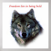 Courage motivationnel Liberté Les yeux du loup