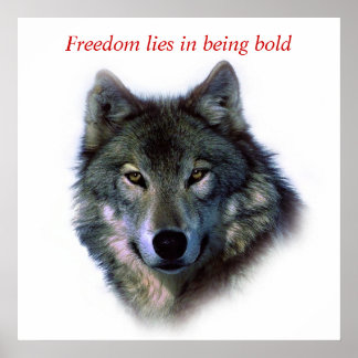 Poster Courage motivationnel Liberté Les yeux du loup