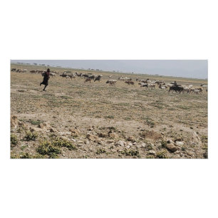 Poster Courir le Serengeti