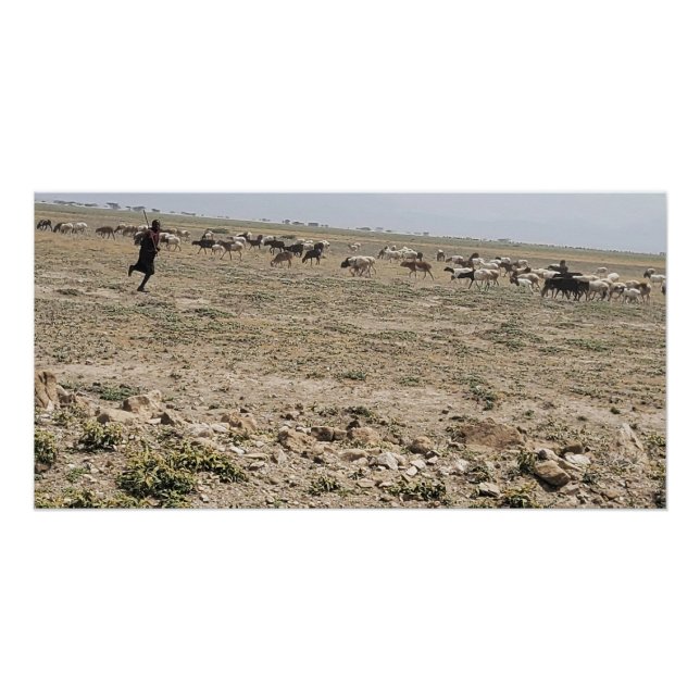 Poster Courir le Serengeti (Devant)