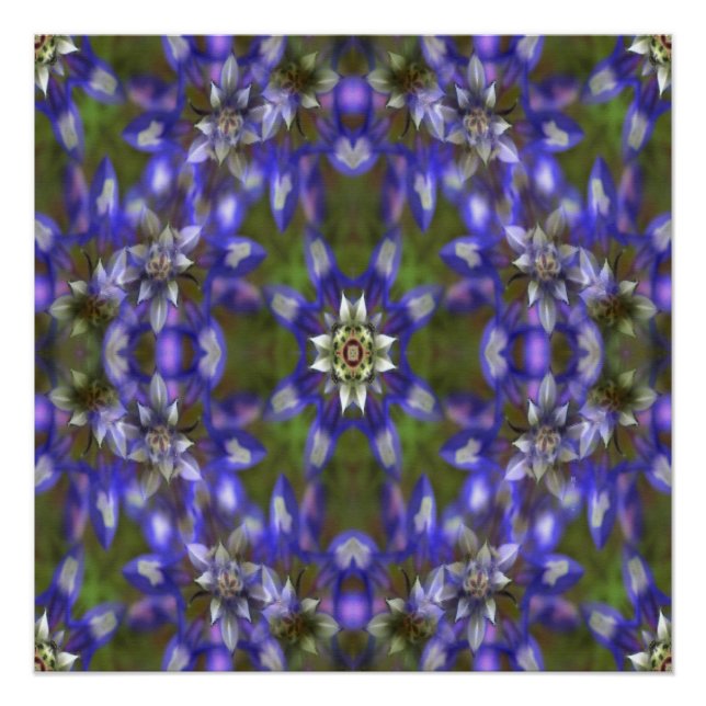 Poster Couronne de Lupine.... (Devant)