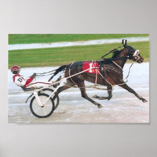 Poster course de chevaux