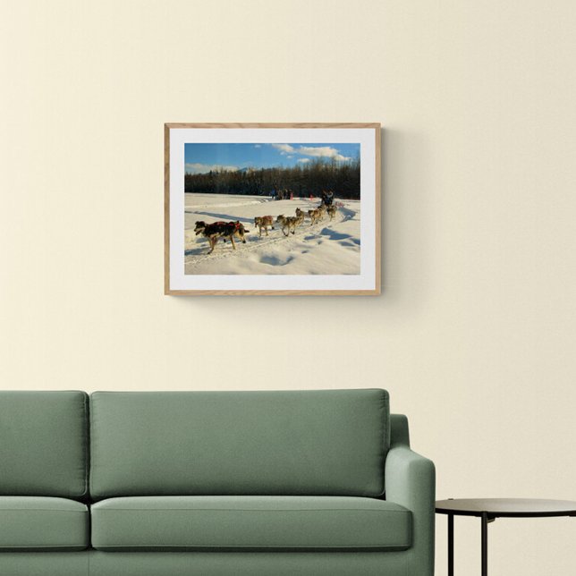 Poster Course de chiens de traîneau Iditarod Trail (Créateur téléchargé)