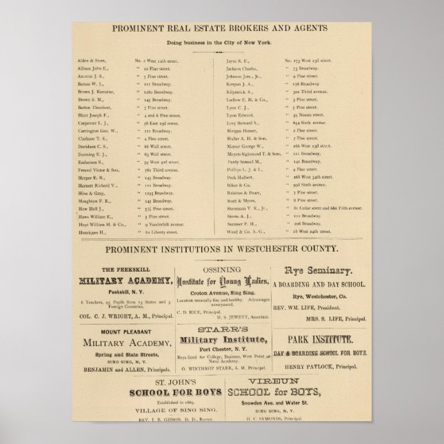 Poster Courtiers immobiliers, NYC Institutions (Devant)
