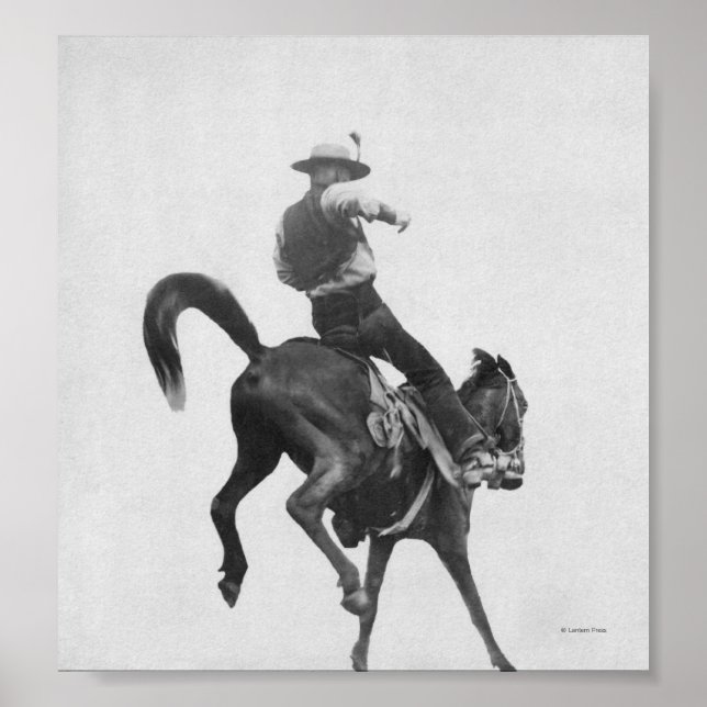 Poster Cowboy Ned Coy Riding Bronco (Devant)