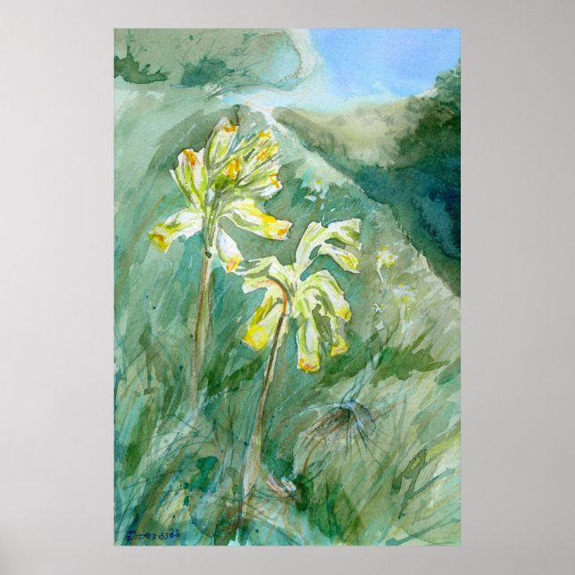 Poster Cowslips Primula veris sur une berge herbacée (Devant)