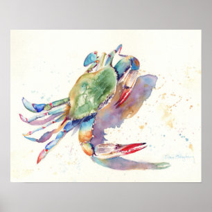 Poster Crabe aquarelle
