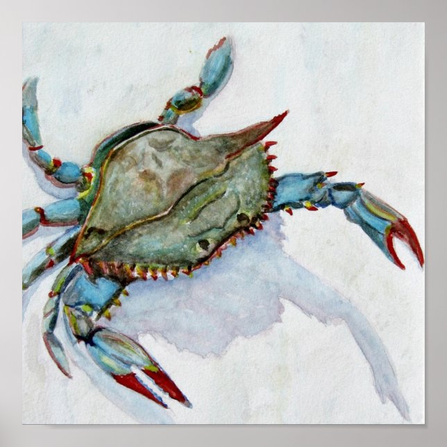 Poster Crabe bleu (Devant)