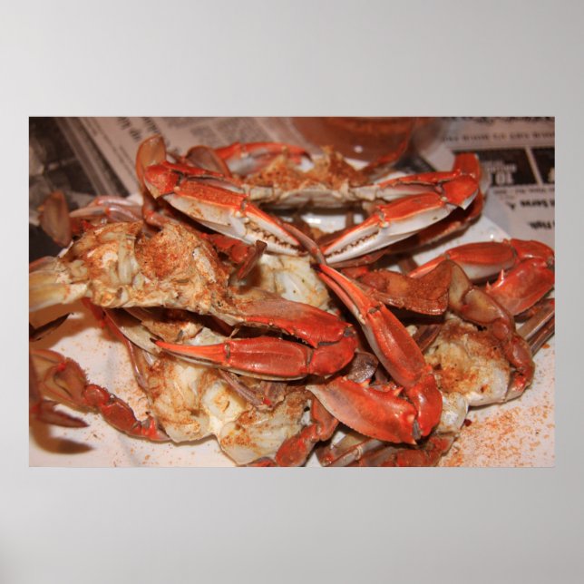 Poster Crabes & le Journal (Devant)