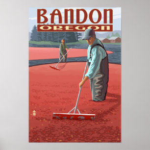 Poster Cranberry Bogs Harvest - Bandon, Oregon