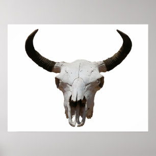 Poster Crâne