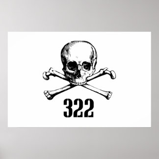 Poster Crâne et os 322