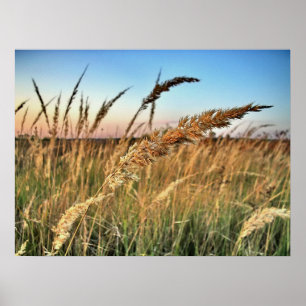 Poster Crépuscules et aubes, couchers du soleil et levers