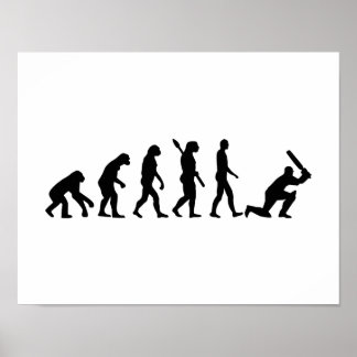 Poster Cricket de l'évolution