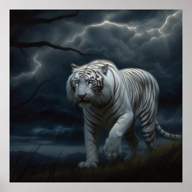 Poster Croc Blanc (Devant)