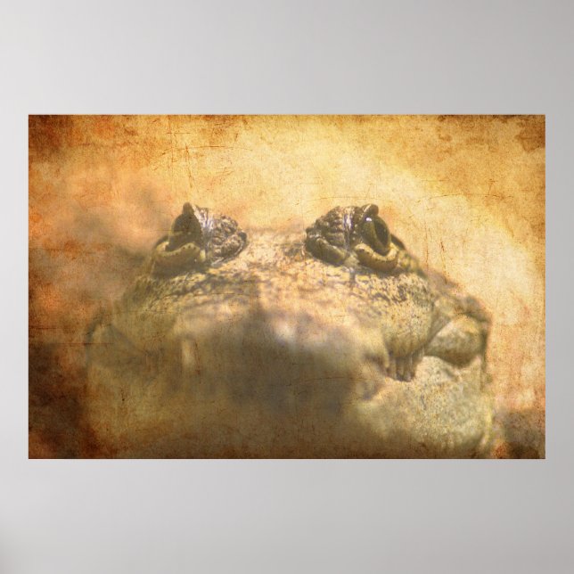 Poster Crocodylus Moreletii Fermer (Devant)