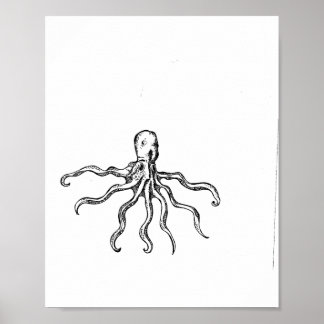 Poster Croquis octopique Imprimer
