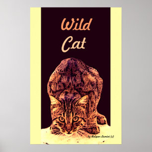 POSTER CUISINE WILD CAT