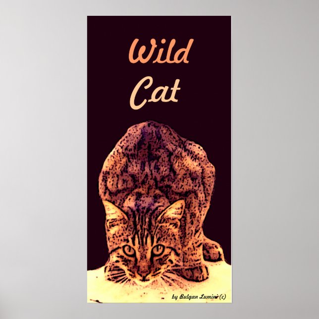 POSTER CUISINE WILD CAT (Devant)