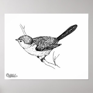 Poster Curieux croquis Bushtit Bird